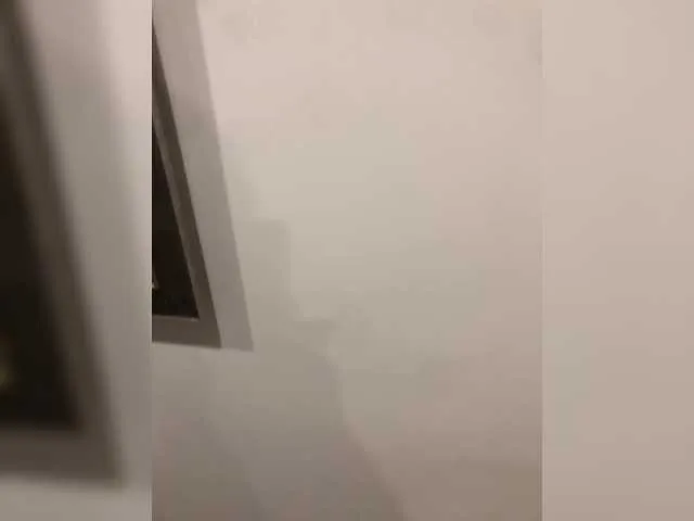 -Megalodon1-'s Thumb Image