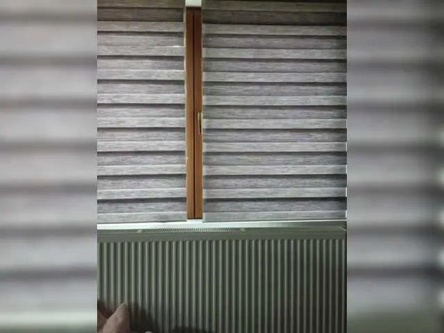 FoxxyAna's Thumb Image