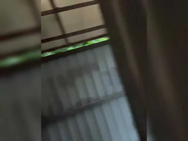 LouiseJenkin Image 12