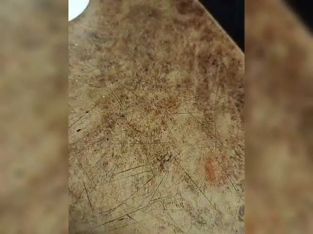 Oyster-lemon Image 6