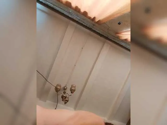 princesssa19 Image 8