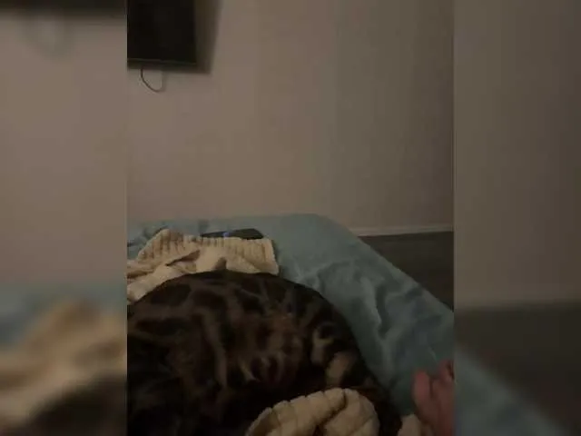 QUEEN-KING's Thumb Image