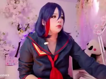 aikonara Image 11