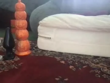 analzilla Image 4
