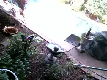 anoaklawnguy Image 2