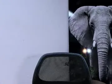 apolo_klein1 Image 18