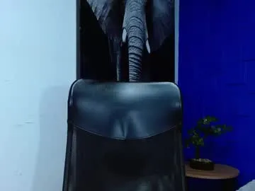 apolo_klein1 Image 3