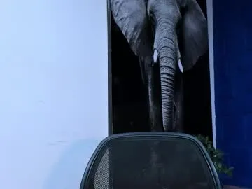 apolo_klein1 Image 8