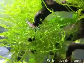 booker_baxton Image 4