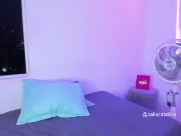 cataliana_mega1 Image 15