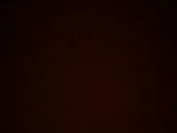 chellybear101 Profile Image