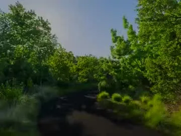 chris2024x Profile Image