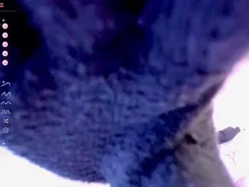 darkmousee Profile Image