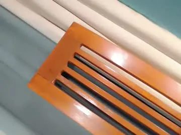 heavenlycum69_mickey Image 8