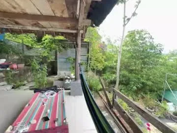 hypnotic_kitty Image 18