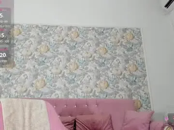 illegal_lorry Image 17