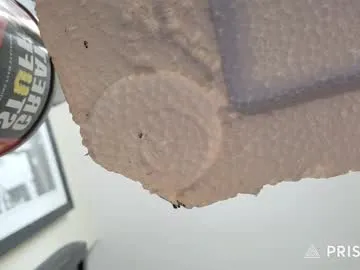 jamwarnerone Image 8