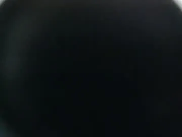 koshkabdsm2025 Image 9