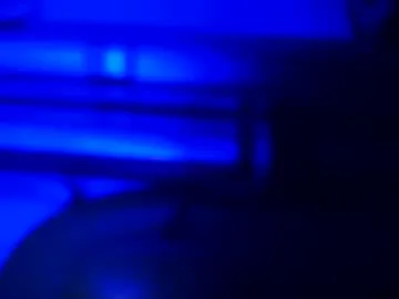 marsupialdan Image 9