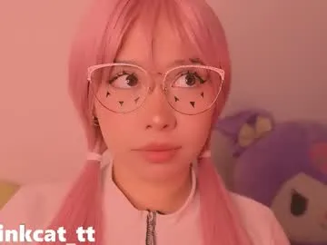 piinkcat Image 17