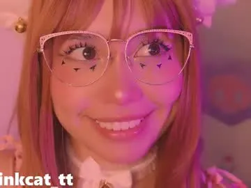 piinkcat Image 18