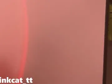piinkcat Image 19