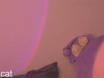 piinkcat Image 9