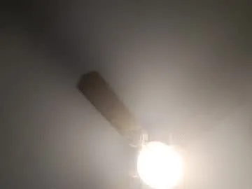 red24devils Profile Image