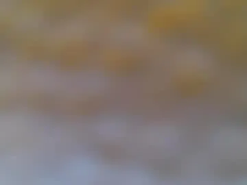 robertd5094 Image 16