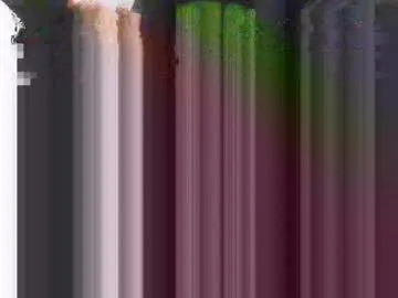 samiam381653 Image 4