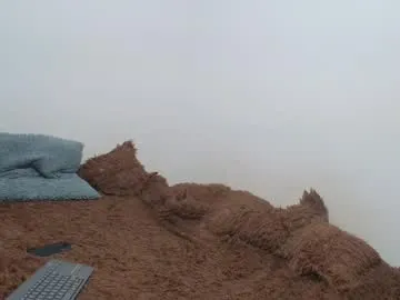 saraandthomas Image 13