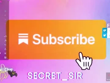 secret_sir Image 4