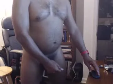 sheepishlion Image 6