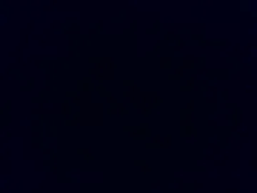 southdbd Image 7