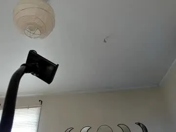 spankamber Image 4