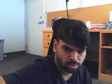 sundoog Image 2