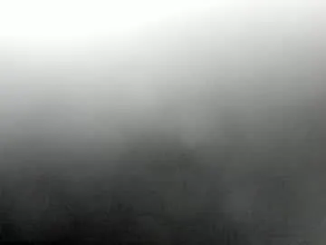 synop_sis Image 17