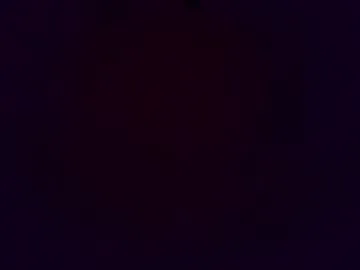 thegreat6268469 Image 12