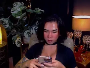 transpornidol Image 7