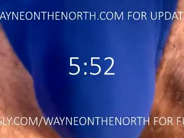 waynenorth Image 10
