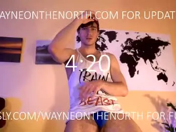 waynenorth Image 6